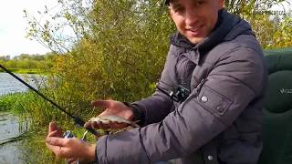Ловля Осенней Плотвы Пикером Волжанка, на Дикой речке.