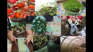 13 Важных Шагов При Подготовке к Посадкам. Огород. Рассада.