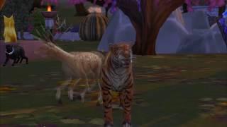 zoo in a sims 4 зоопарк в sims 4 with mods and cc