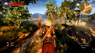 The Witcher 3 on GeForce GTX560Ti