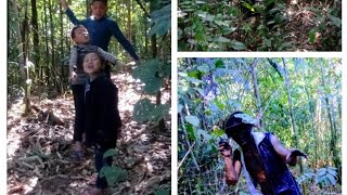 Pawg kwj deg ntu 11 mus cuab ntxiab thiaj tuag .. ma chiet cua hmong đang son nhat  ba anh em di g i