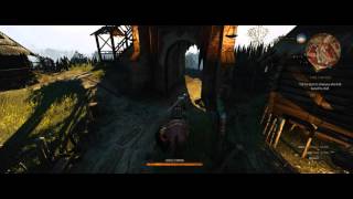 The Witcher 3 ACER PREDATOR MAXED OUT