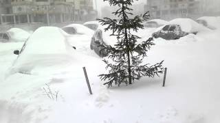 Погода в Киеве