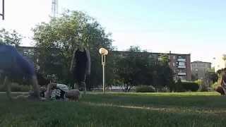 Мой первый корк!