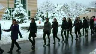 Ivanec, "Ivonjski fašink", 7.2.2010.