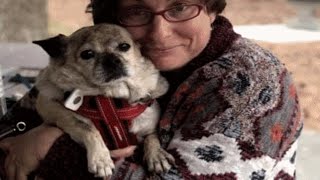 This dog seems convinced she's a grumpy cat