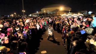 MSC Harlem Shake