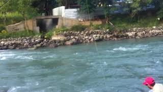 fly fishing in Kashmir