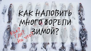 Ловля форели зимой со льда. Форелевые хиты и новые приманки от Mottomo.