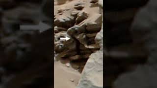 ASOMBROSO MARTE - CURIOSITY SOL 710 - #shorts