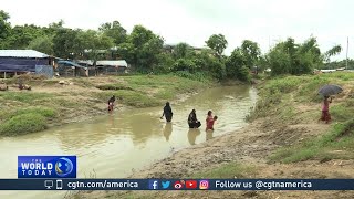 Struggles of Rohingya living on Bangladesh-Myanmar border