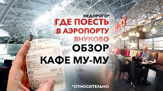 Где в аэропорту Внуково недорого поесть (обзор Му-Му)