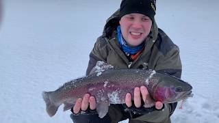 Kirjolohen pilkintä - Opi pilkkimään kirjolohta - Pilkintä - Talvikalastus - Jasu - Spintube - Eumer