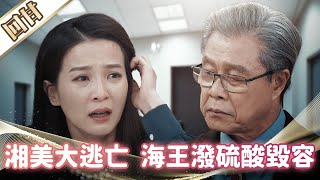 《好戲回甘》市井豪門 EP274 湘美大逃亡 海王潑硫酸毀容
