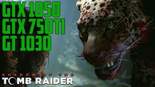 Shadow of the Tomb Raider Jaguar Fight - GT 1030 | GTX 750 Ti | GTX 1050