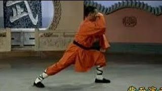 Shaolin Kung Fu: Qixing Quan (read description)