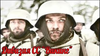Дивизия СС "Викинг" и "Черкасский котёл". Почему об этой битве так много лжи?