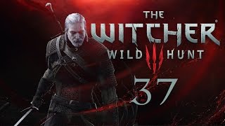 The Witcher 3: Wild Hunt | #37 Враг народа