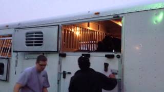 Preakness Winner Oxbow Leaves Pimlico