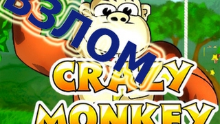 Обыгрываем Crazy Monkey с Помощью программы для Взлома