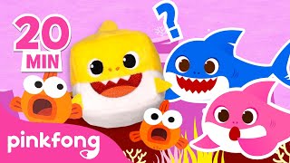Todos los Episodios de CUBO Tiburón Bebé y Pinkfong | Colección | Pinkfong en español