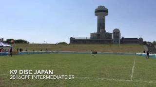 K9DJ 2016GPF INTERMEDIATE 2R
