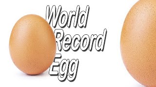 WORLD RECORD EGG - ОТ BOAN BABY :)