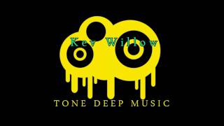 Kev Willow - Bodyrox - Yeah Yeah (The Prototype Remix)