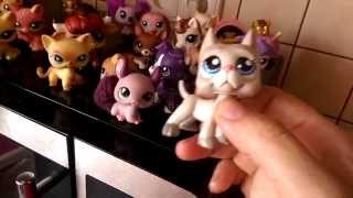 lps pet shop DOGA daruji zdarma ZADARMO!!! GREAT DANE FREE (probíhá do 23.12.2015)