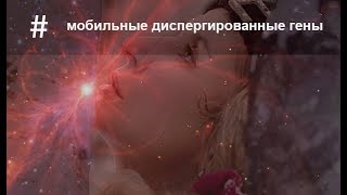 Квантовое омоложение.Мобильные диспергированные гены.