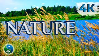 ~☀️ 1 Час -ДУШЕВНОЙ ПРИРОДЫ в Солнечный день НА  РЕКЕ ~ СЛУШАЕМ ЗВУКИ ПРИРОДЫ ☀️