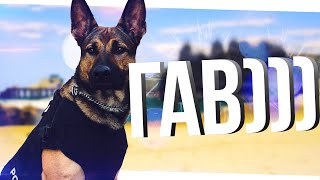ПОЛИЦЕЙСКАЯ СОБАКА В GTA 5 RP, ОБНОВЛЕНИЕ РЫБАЛКА [ feat brothers in company ]