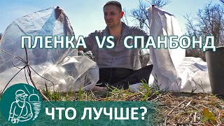 Выращивание рассады | Что лучше: спанбонд или пленка для парников по технологии Гордеевых
