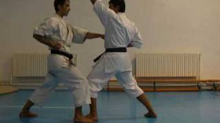Ten no Kata