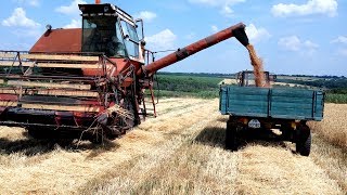 Уборка супер элиты пшеницы "Журавка" и Перекрестный посев "Богдана". Комбайн Нива СК-5.