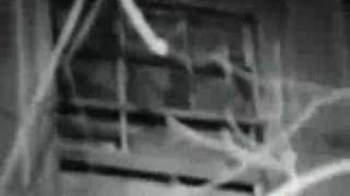 Skeleton Creek video #1
