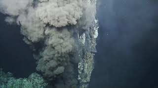 Ocean Networks Canada 2020 Highlights | Nautilus Live