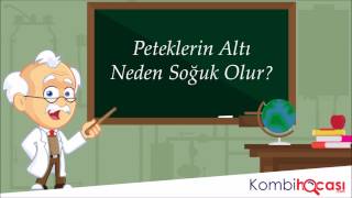 Peteklerin Altı Neden Isınmaz ?