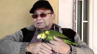 El loro Luis de Salvador, El Altet