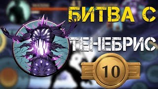 Shadow Fight 2 БИТВА С ТЕНЕБРИС И 10 ДАН