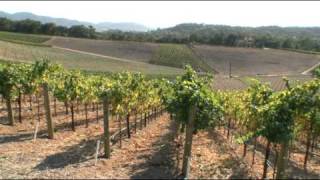 Wining and Dining in Napa Valley