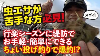 大阪湾 堤防釣りで多魚種チャレンジ編 ～何種類釣れたでしょうか？～