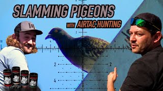 40gr Pills ... The Pigeons HATE Them!