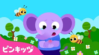 けがをしたら | 英語童謡 | First Aid Song | 子どもの歌 | 童謡 | ピンキッツ・ベイビーシャーク