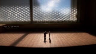 [単焦点 広角] SIGMA 14mm f/1.8 Art とZEISS Batis 2/25 [with α7R III]