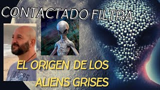 Contactado revela origen de los aliens grises