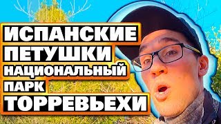 ИСПАНСКИЕ ПЕТУШКИ. НАЦИОНАЛЬНЫЙ ПАРК ТОРРЕВЬЕХИ