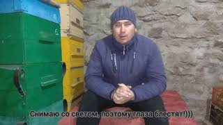 СУШЬ-ЗОЛОТОЙ ЗАПАС ПЧЕЛОВОДА!!! Как я её храню!