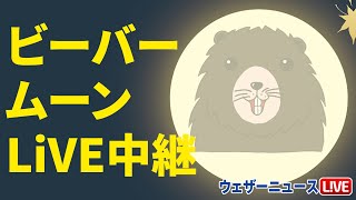 【11月満月】ビーバームーンライブカメラ