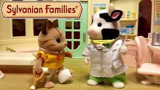 Первый пациент! Мультяшный обзор больницы Сильваниан Фэмилис / Sylvanian Families Country Doctor